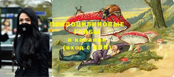 мяу мяу мука Аркадак