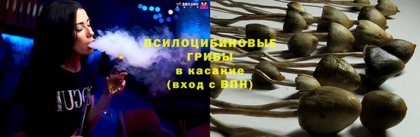 мяу мяу мука Аркадак