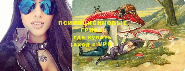 мяу мяу мука Аркадак